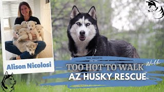 AZ Husky Rescue ! Arizona !! Everything Tastes Better With Husky Hair