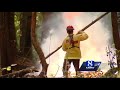 10-mile-long fuel break carved through Santa Cruz mountains