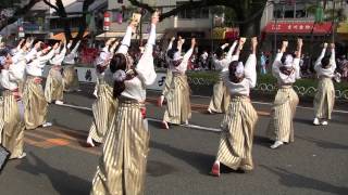 2014 高知よさこい祭り 全国大会 俄嘉屋 追手筋北本部競演場