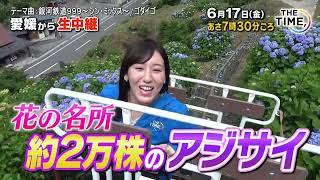 【愛媛から生中継！！】約2万株のアジサイが咲きほこる　花の名所！▽ＴＨＥ　ＴＩＭＥ，　2022-06-17（金）