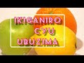 MENYA IMBUTO🍊🍋🍎 WARYA ZIKAGUFASHA GUSINZIRA NEZA NA AKAMARO KO KURYAMA  UGASINZIRA NEZA