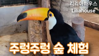 ■주렁주렁 실내 동물원 체험