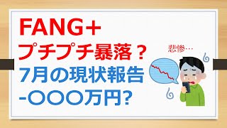 FANG+プチプチ暴落？　7月の現状報告マイナス〇〇〇万円？　【有村ポウの資産運用】240723