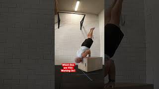 Advanced to Beginner Dead Press and Handstand Push Up Variations