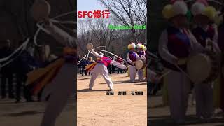 【SFC修行】4回目　羽田　那覇　石垣