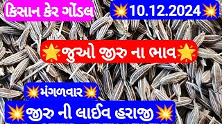 આજના જીરુ ના ભાવ | જીરુ ના ભાવ | જીરુ નો ભાવ jeera na bajar bhav | Gondal marketing yard 10-12-2024