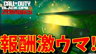 【CoD:BO6 ゾンビ】パークにエーテルツールが無料で貰える報酬激ウマのイースターエッグ解説！ターミナス