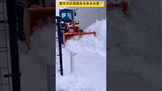 【北海道あるある】⑦大量の雪が溜まったら除雪車が大活躍する出番だよ☃️ 北海道旭川市✨  #ninjya #shorts #旭川市 #雪 #雪化粧 #雪景色 #真冬 #北海道あるある #除雪車