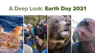 A Deep Look: Earth Day 2021
