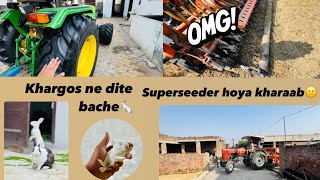 Superseeder hoya khraab 😔 khargosh ne dite bache🐇 (6565vlogs)