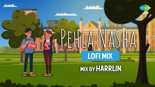 Pehla Nasha LoFi Mix | Harrlin | Udit Narayan | Aamir Khan | Jo Jeeta Wohi Sikandar | Sadhana Sargam