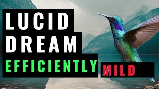 Lucid Dream With The Most Efficient Technique (MILD Technique) - Full Tutorial