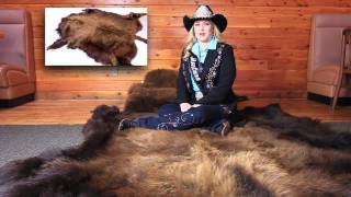 Miss Rodeo Montana Discusses Buffalo Hides