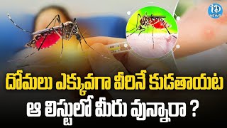 దోమలు ఎవరిని కుడతాయే తెలుసా.? | Mosquitoes are Like to Bite These Kind of People | iDream News