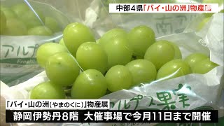 中部4県の魅力的な商品に長蛇の列 「バイ・山の洲」物産展で交流促進＝静岡市