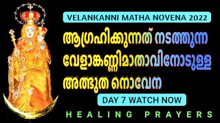 പ്രാർത്ഥിച്ചു തീരുംമുമ്പേ അത്ഭുതം നടക്കുന്ന, മാതാവിന്റെ ഈ നൊവേന ഇന്ന് മുടക്കരുത് @healingprayers1