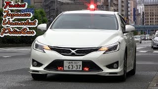 下道では世界に1台のみ！日本最速スーチャー覆面パトカー 白マークX＋Mスーパーチャージャー Fastest Japanese Unmarked Cop Car MARK X SUPER CHARGER