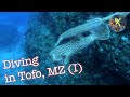 Diving in Tofo, Part I - Mozambique