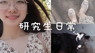 研究生vlog ｜实验室进老鼠了！不敢做实验｜心形标记的可爱牛牛｜春日里的牧校