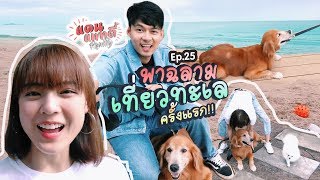 พาฉลามสุนัขของแดนเที่ยวทะเลครั้งแรก!! [cc] แดนแพทตี้ Reality | EP.26 |