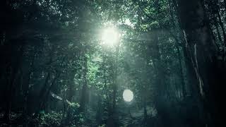 528Hz | Mystical Forest | CALMING NATURE FREQUENCY | Sleep and Meditate with Ease ☮️