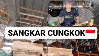 SANGKAR CUNGKOK MAGETAN || INDONESIA🇮🇩