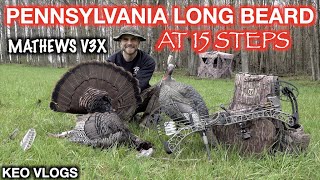 Pennsylvania Turkey At 15 Steps With A Bow!