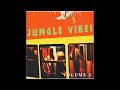 Various - Jungle Vibes Vol. 2 (1995)