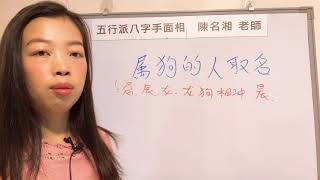 專業姓名學：屬狗的人如何取名？取錯了就.........