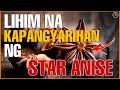 ANG SEKRETONG KAPANGYARIHAN NG STAR ANISE | MABISANG PAMPASWERTE | Bhes Tv