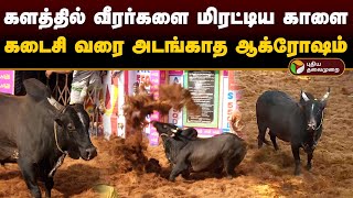 களத்தில் வீரர்களை மிரட்டிய காளை.. கடைசி வரை அடங்காத ஆக்ரோஷம்.. | Alanganallur | Jallikattu | PTD