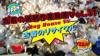 ㊙️秘密工場潜入！古着のリサイクル♻️仕分け動画3️⃣1️⃣ラグハウス