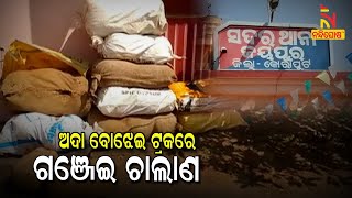 Truck Loaded With Ganja, Seized In Jeypore City | NandighoshaTV