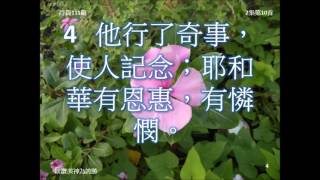 以讚美神為誇勝-詩篇111篇