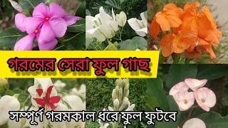 সম্পূর্ণ গরমকাল ধরে ফুল ফুটবে🌷।😱গরমে এই ফুল গাছ বাগানে থাকলে ফুলে ভরে যাবে😱|Helpful Garden😍