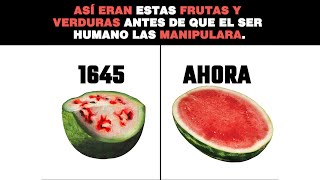 🍌🍉!Así eran estas FRUTAS y VERDURAS🌽🥑 antes de que el ser Humano las Manipulara! 😲