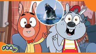 Learn All About Cool Sea Creatures 🐳 😮 🌊 #OceanDay | Critters TV | @RTÉjrOfficial