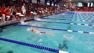 Men's 400 IM A Final | 2019 NCSA Spring Swimming Championships