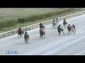 アイドルホース　白毛馬アオラキ　愛知移籍初戦！！　アオラキのことをもっと知ってほしいので共有といいねお願いします！！ アオラキ　 白毛馬　 競馬予想