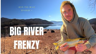 INSANE Trout Fishing at Lake Eildon – Big River Arm Went Off! 🎣🔥
