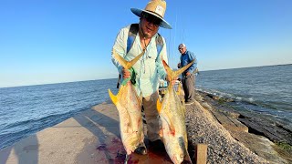 Freeport Jetty-Surfside/ Chaos during jack crevalle run 2023.