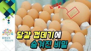 달걀 껍데기에 숨겨진 비밀! 난각표시