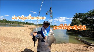 ລ່າປາພ້ຽນທີ່ດອນກວດ //ເຈົ້າຖິ່ນເຖິງກັບງົງ #ตกปา #น้ำงื่ม #แขวงเวียงจัน #Numnguem #River #Fishing