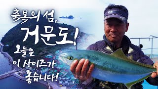 이상하게 거문도가 좋더라고요 ㅎㅎ 오늘 첫 수는 바다의여왕 참돔 입니다! 낚시는 실력도 실력이지만 장비빨 아니겠습니까? ㅎㅎ #낚시 #거문도 #섬 #바다 #선상낚시 #참돔