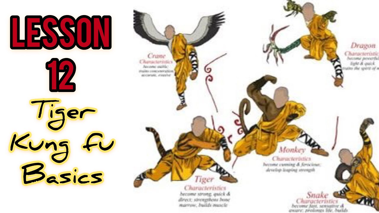 Kung Fu Moves For Beginners