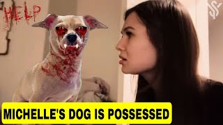 WINNIE the POSESSED Dog of Marcus Dobre's Girlfriend Michelle? #winnie #possessed @YouTubeStar7779