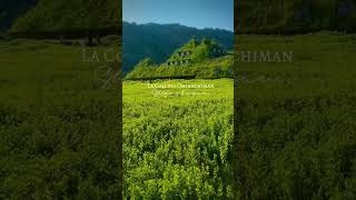 The Amazing View of La Collina Omihachiman in Shiga, Japan