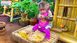 Nanny BiBi takes care of baby monkey Obi
