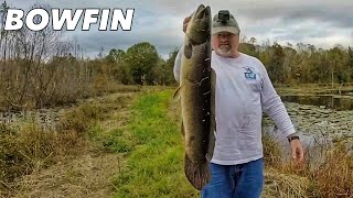 Big Bowfin while Bank Fishing