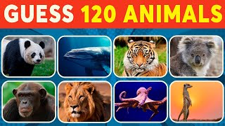 Guess 120 Animals in 5 Seconds | Easy, Medium, Hard, Impossible